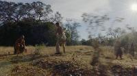 Click to watch 'The Blind Tiger' (popup) The Son